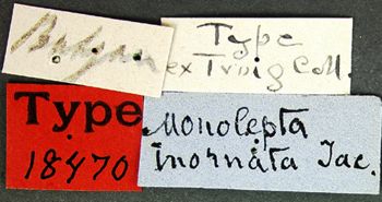 Media type: image; Entomology 18470   Aspect: labels